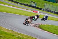 Lower Group Multicolour Bikes